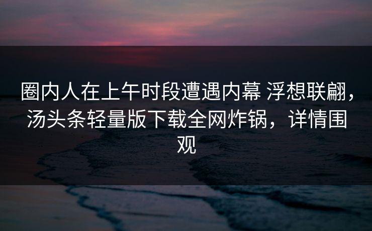 圈内人在上午时段遭遇内幕 浮想联翩，汤头条轻量版下载全网炸锅，详情围观
