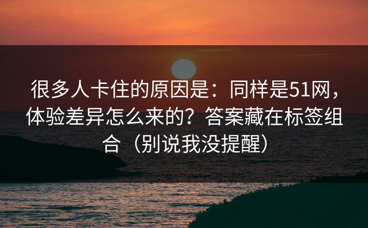 很多人卡住的原因是：同样是51网，体验差异怎么来的？答案藏在标签组合（别说我没提醒）